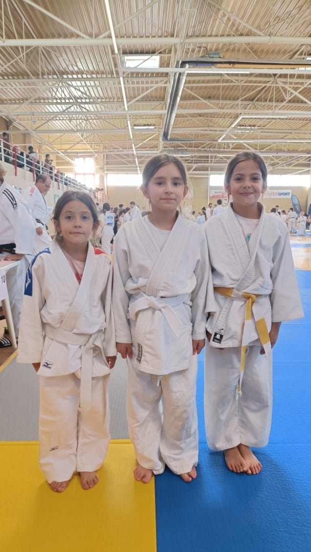 Animation départementale Nov 2025